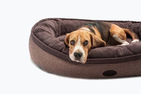 Donut Soft Touch Brown Oval Bed