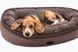 Donut Soft Touch Brown Oval Bed