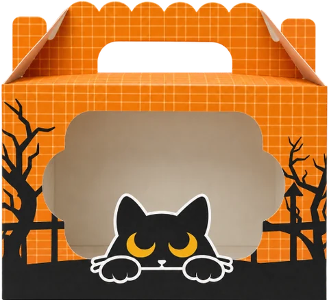 Помаранчева святкова коробка Spooky Box для котика