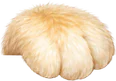 Лапа кота